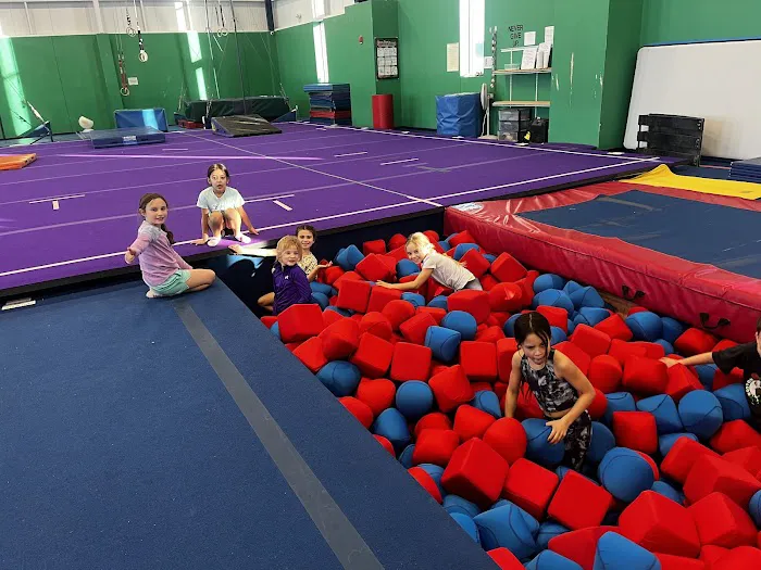 Metro Stars Gymnastics Picture 8