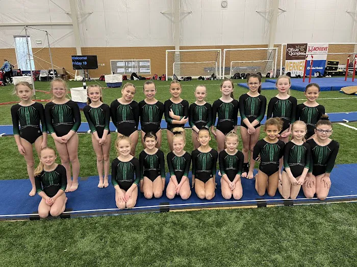 Metro Stars Gymnastics Picture 7