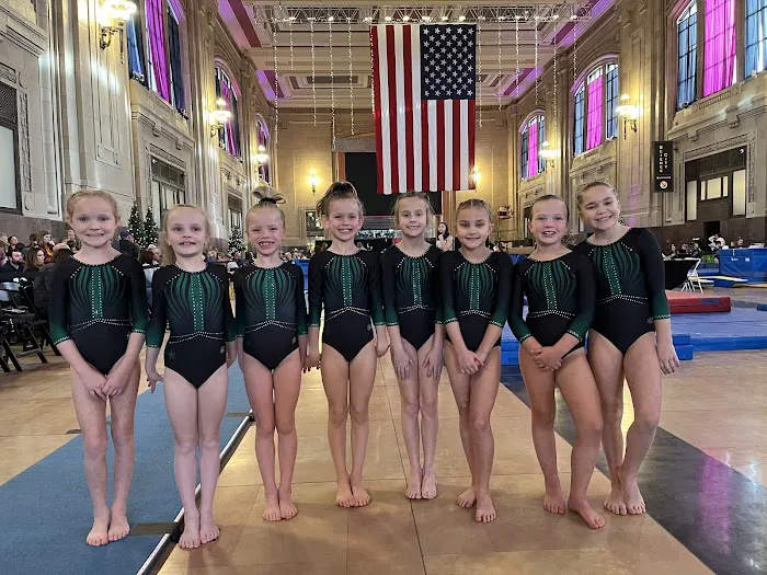 Metro Stars Gymnastics Picture 10