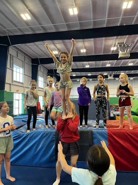 Metro Stars Gymnastics Picture 5