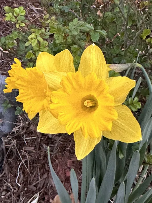 McCarthy Gymnasium Picture 4