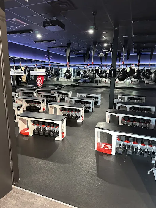 Rumble Boxing Picture 7