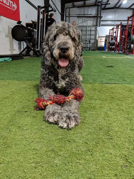 Brewhouse Barbell Picture 2