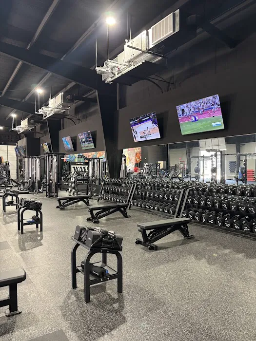 Impact Strength and Performance Picture 2