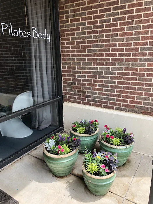 The Pilates Body Picture 10