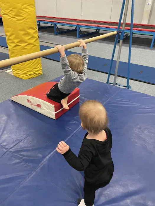 Metro Gymnastics Picture 5