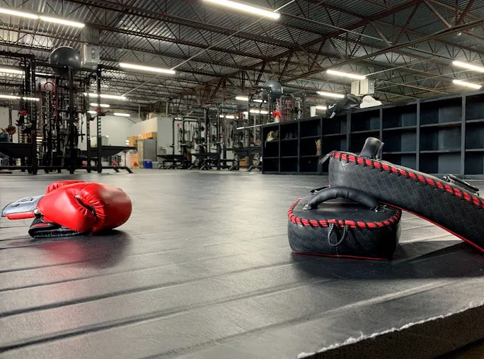 The Arsenal Strength & Conditioning Gym Picture 5