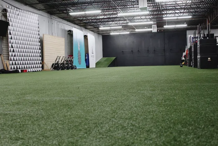 Athlete Inc. Picture 4