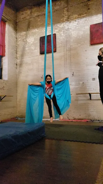 Magic Tree Yoga Studio Picture 2