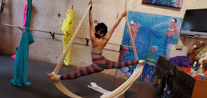 Magic Tree Yoga Studio Picture 6