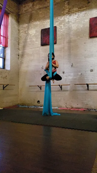 Magic Tree Yoga Studio Picture 7