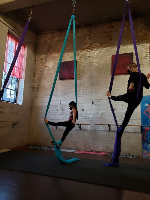 Magic Tree Yoga Studio Picture 9