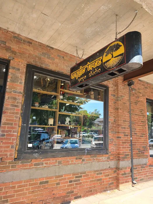 Magic Tree Yoga Studio Picture 10