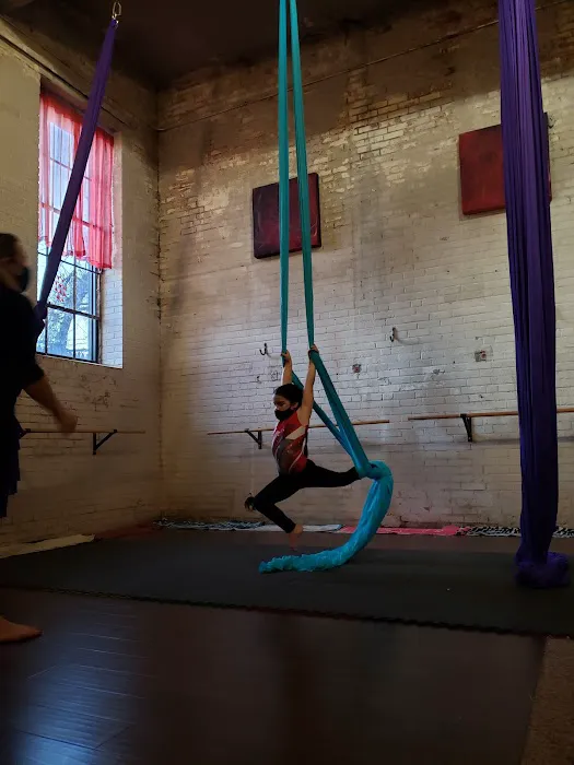 Magic Tree Yoga Studio Picture 4