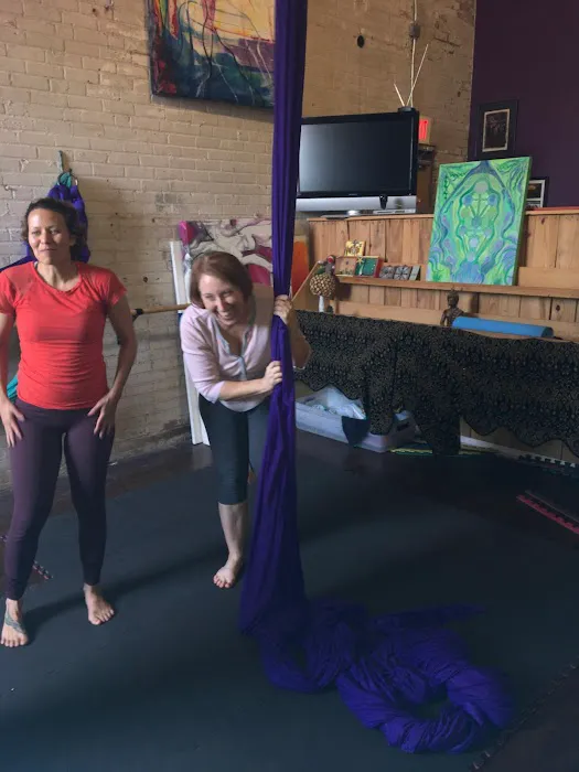 Magic Tree Yoga Studio Picture 3