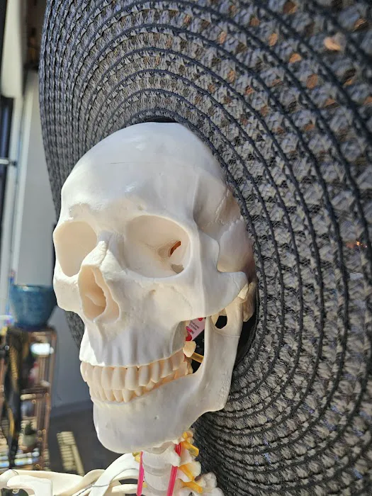 Plaza Yoga & Bodywork Picture 7