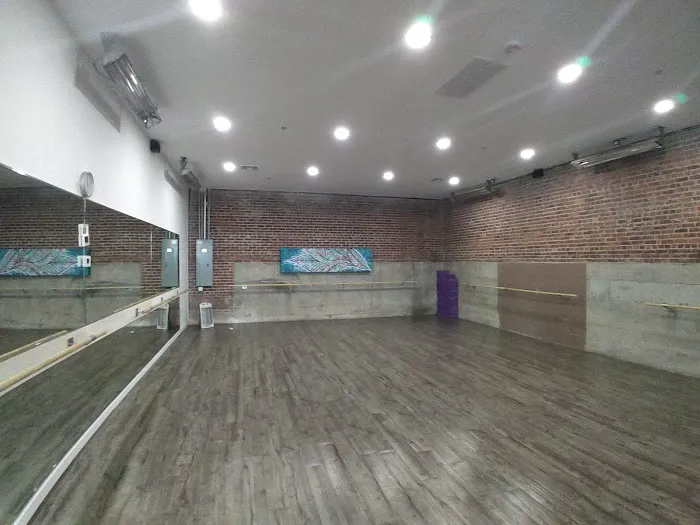 Balance Yoga Barre Picture 5