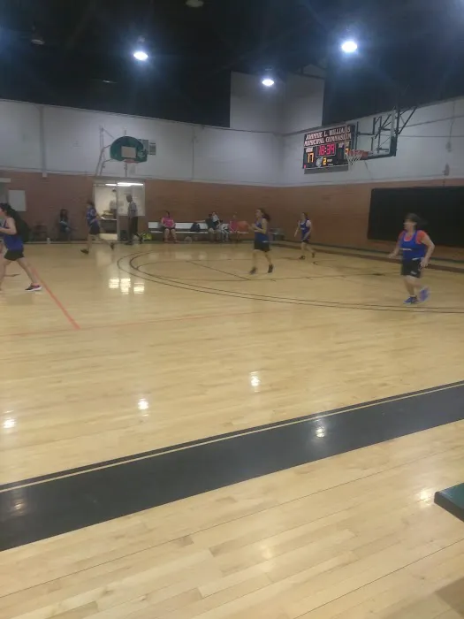 Johnie L. Williams Municipal Gymnasium Picture 6