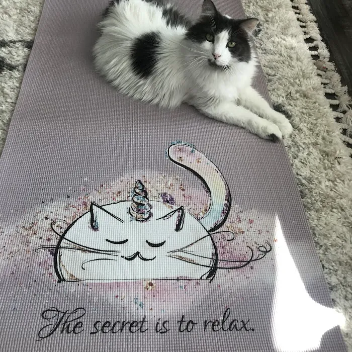 Free Spirit Yoga Studio & Meditation Sanctuary Picture 4