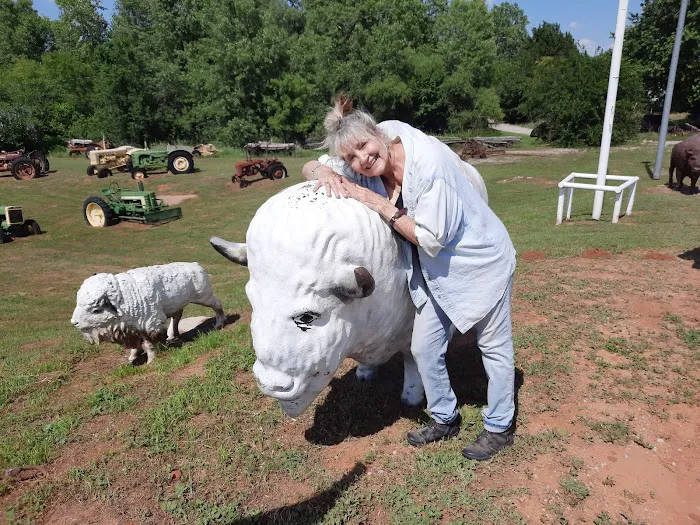 Free Spirit Yoga Studio & Meditation Sanctuary Picture 2