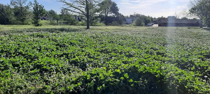 Free Spirit Yoga Studio & Meditation Sanctuary Picture 1