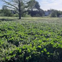 Free Spirit Yoga Studio & Meditation Sanctuary ico