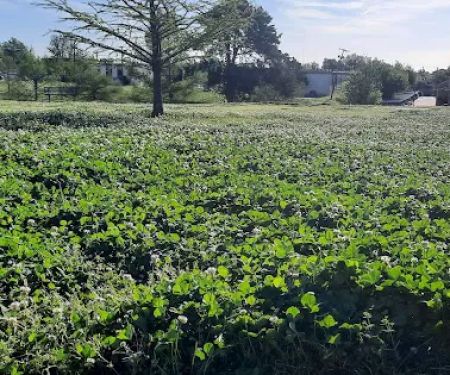 Free Spirit Yoga Studio & Meditation Sanctuary