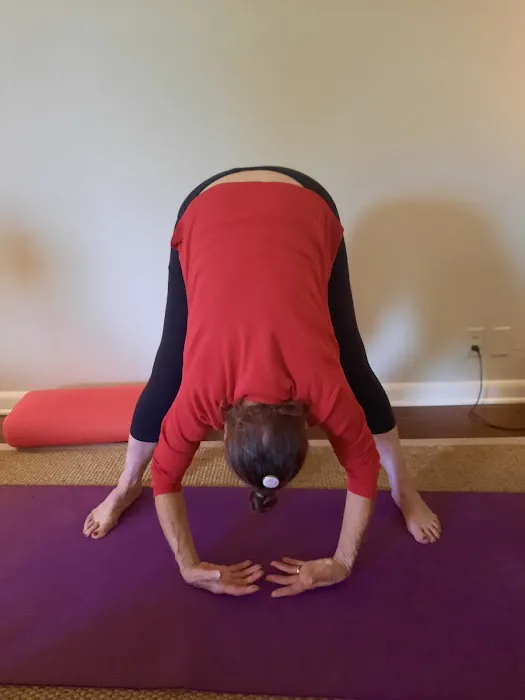 Free Spirit Yoga Studio & Meditation Sanctuary Picture 5