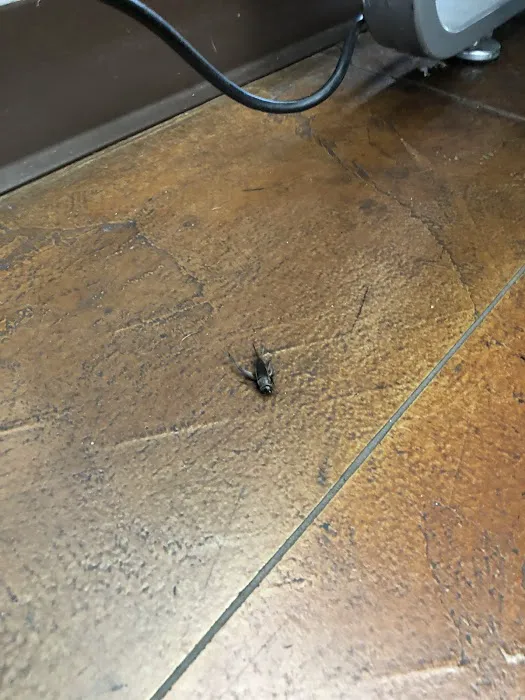 Four Star Fitness - Downtown Picture 10