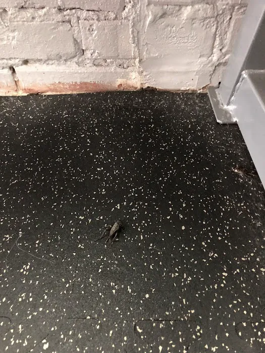 Four Star Fitness - Downtown Picture 5