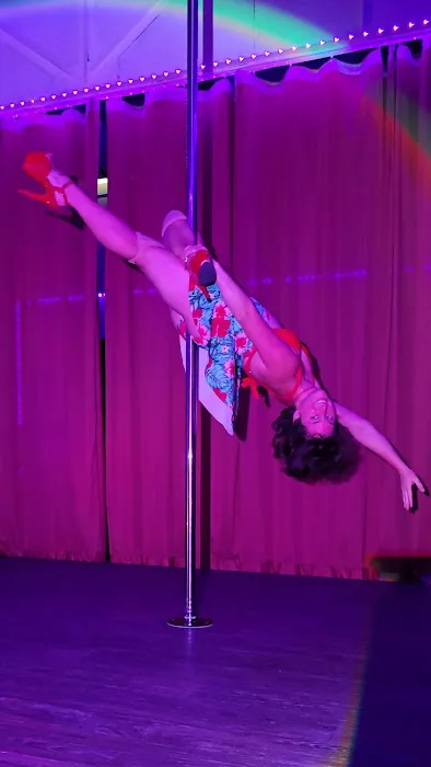 CHROME Pole & Aerial Picture 3