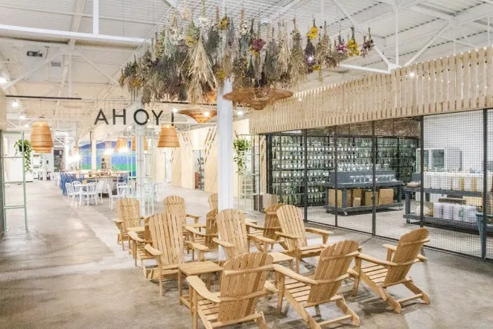 CHROME Pole & Aerial Picture 9