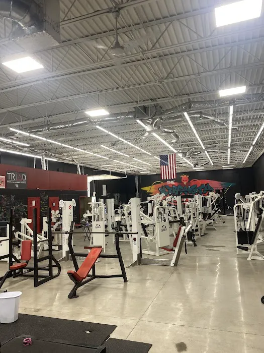 The Strength Factory Picture 7