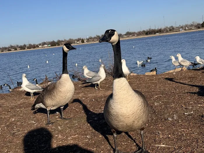 Fitness Court at Stars and Stripes Park Picture 5