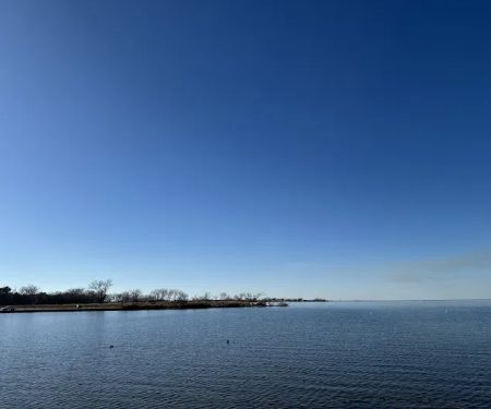 Fitness Court at Stars and Stripes Park