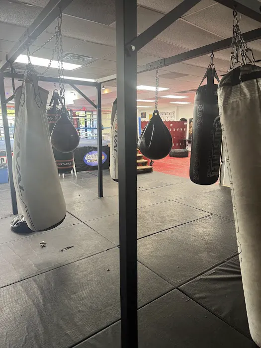 TNG Boxing (The Next Generation) @ Oklahoma Boxing Picture 1