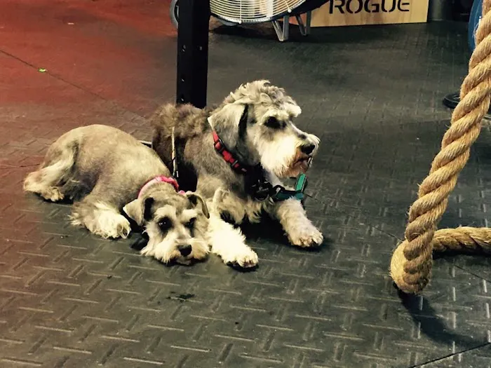 Complete West Health and Performance Picture 8