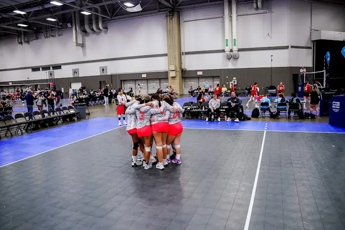 OK DYNAMITE VOLLEYBALL Picture 1