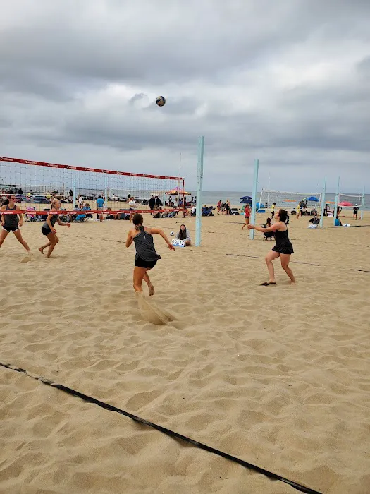 OK DYNAMITE VOLLEYBALL Picture 5