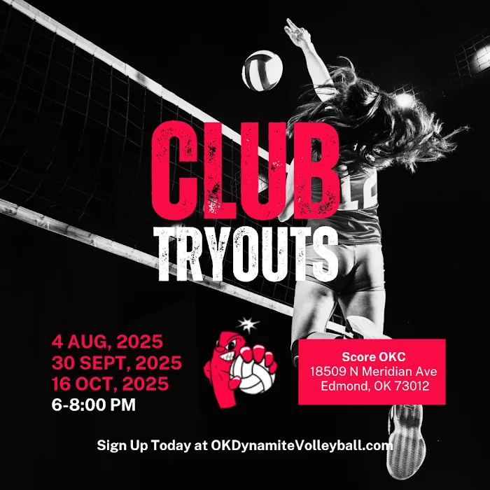 OK DYNAMITE VOLLEYBALL Picture 7