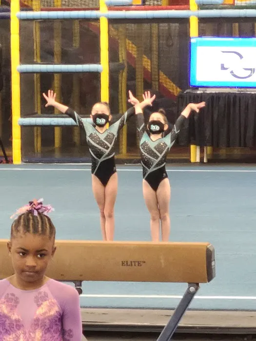 Dynamo Gymnastics Picture 4