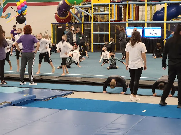 Dynamo Gymnastics Picture 6