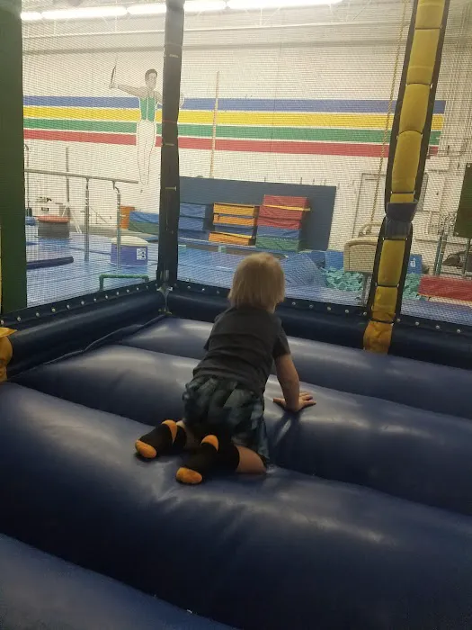 Dynamo Gymnastics Picture 2