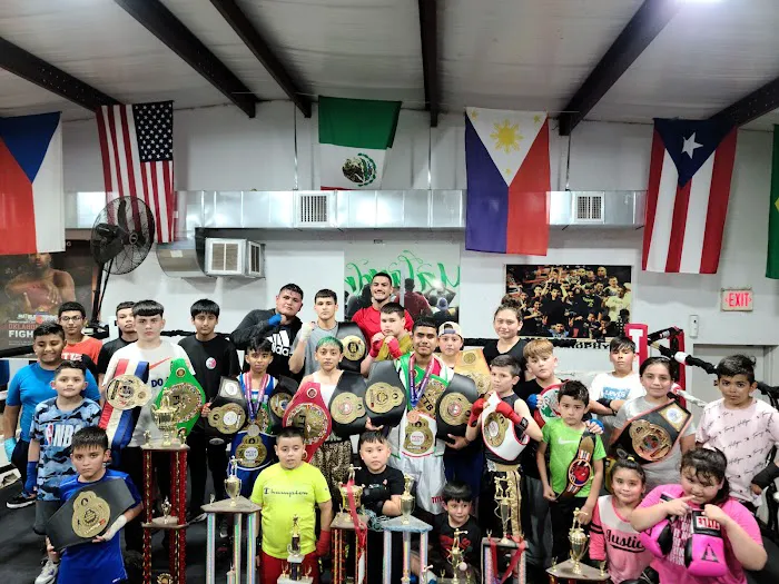 Malandrin Boxing Picture 2