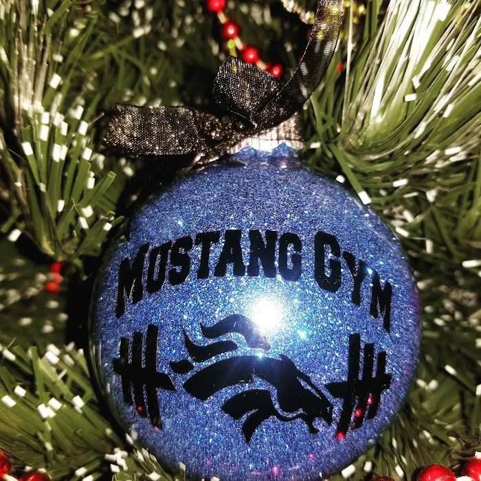 Mustang Gym & Personal Training Picture 6