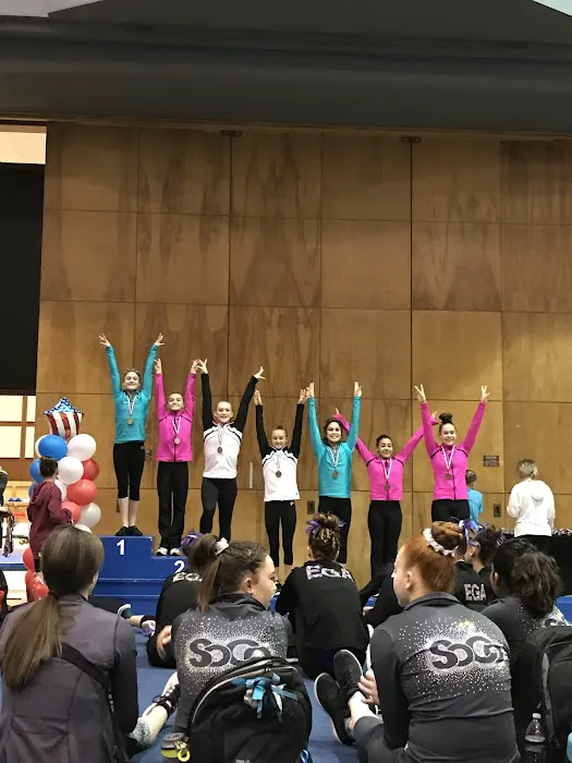 Oklahoma City Gymnastics Picture 7