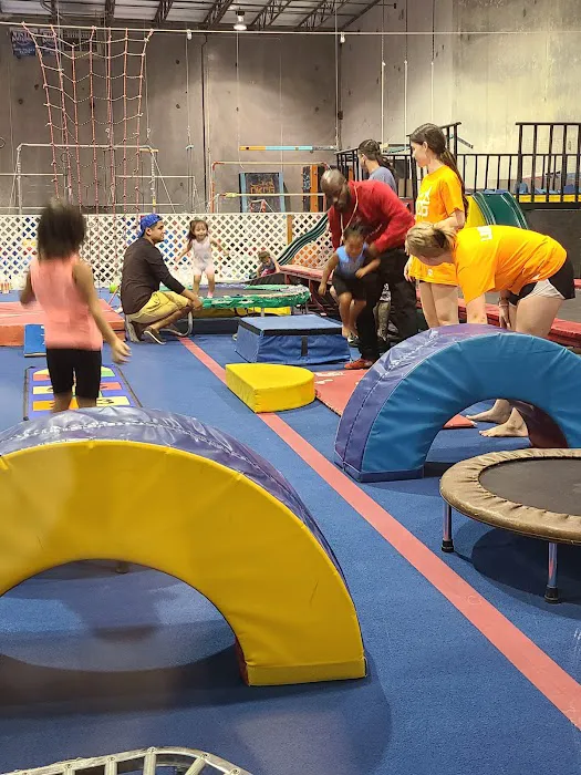 Oklahoma City Gymnastics Picture 5