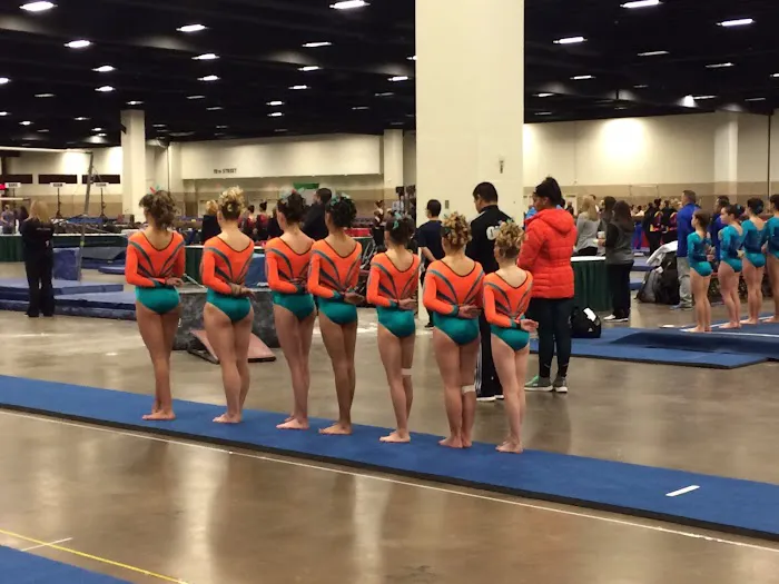 Oklahoma City Gymnastics Picture 6