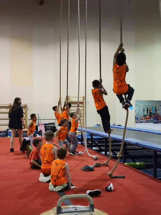 Oklahoma City Gymnastics Picture 2