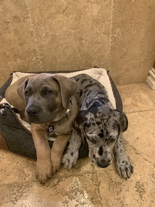 FORTITUDE Strength and Conditioning Picture 3